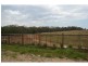 Lot 468 21 Dandelion Street, Freshwater Estate, Griffin QLD 4503