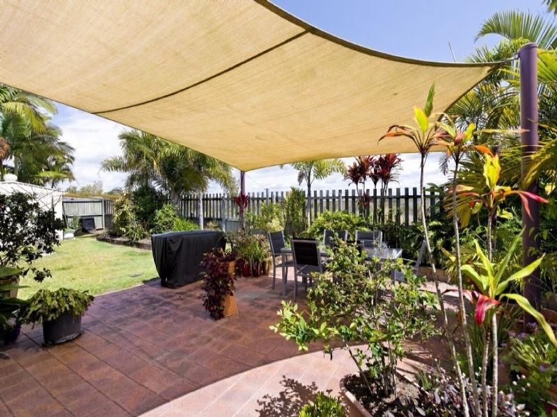 66 Mountain Ash Drive, Mountain Creek QLD 4557