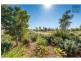 49 SWEETLIP Circuit, BRIGHTWATER, Mountain Creek QLD 4557