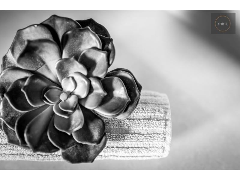 2 RIFLEBIRD Place, BRIGHTWATER, Mountain Creek QLD 4557