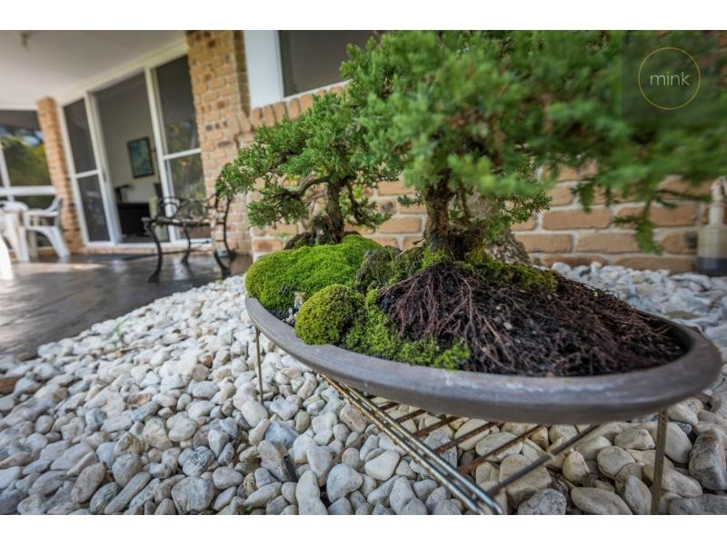 31 CANDLEWOOD Close, Mooloolaba QLD 4557