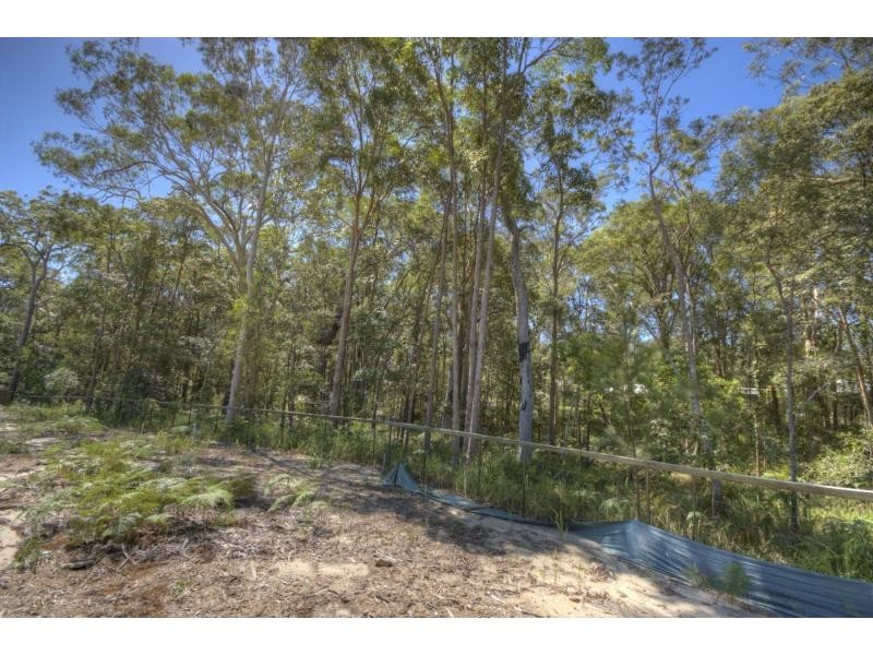 Lot 203 JACKSONIA PLACE, DOONELLA, Noosaville QLD 4566