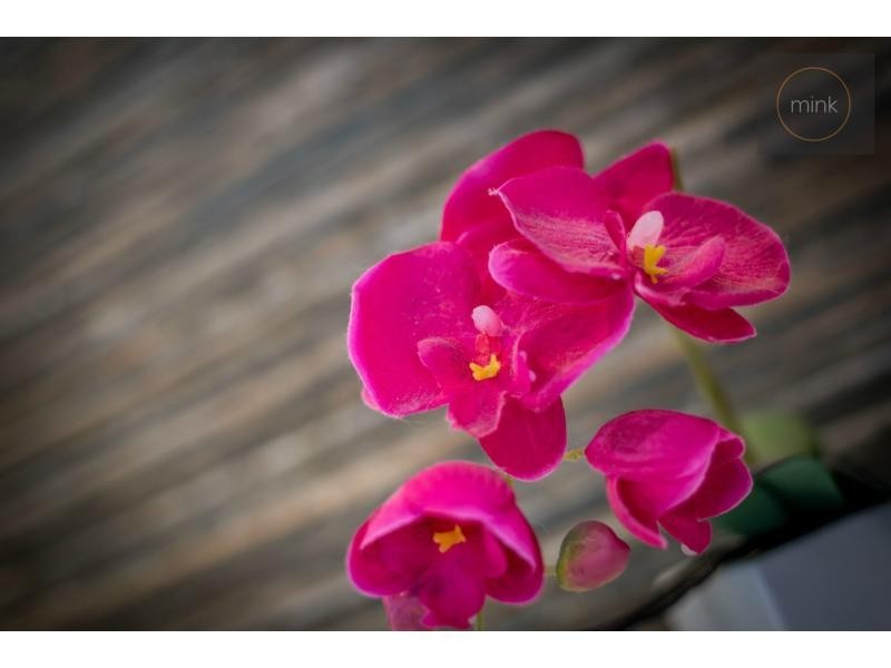 16 AZURE Street, BELLS REACH, Caloundra West QLD 4551