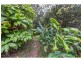 201 WINDSOR Road, Nambour QLD 4560