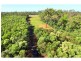 18 Cedars Road, South Bingera QLD 4670