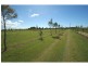 62 Fairydale Road, Welcome Creek QLD 4670