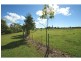 62 Fairydale Road, Welcome Creek QLD 4670