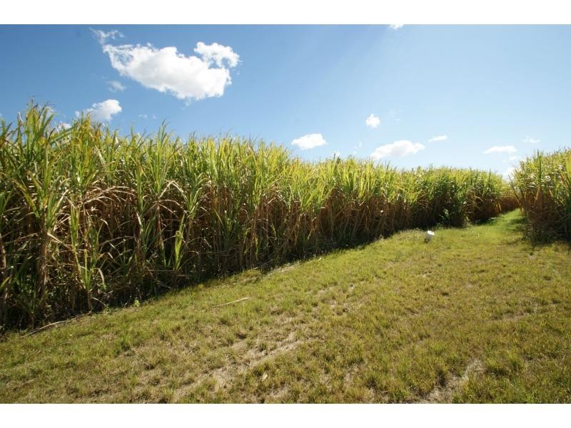 385 Gillens Creek Road, Alloway QLD 4670