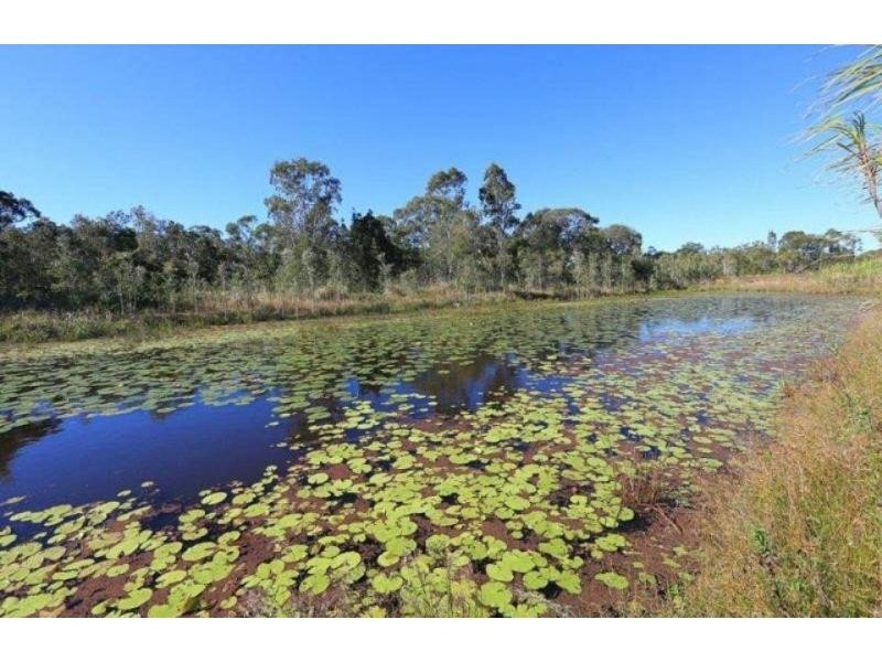 218 Bayliss Road, Sharon QLD 4670