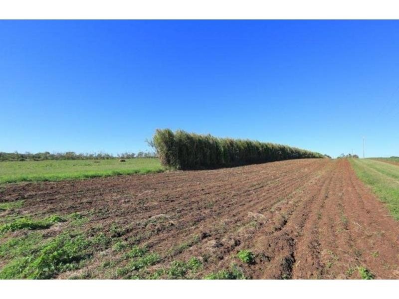 218 Bayliss Road, Sharon QLD 4670