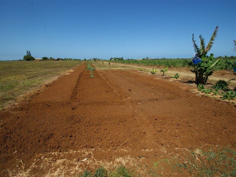 Lot 200 Mittleheusers Road, Burnett Heads QLD 4670