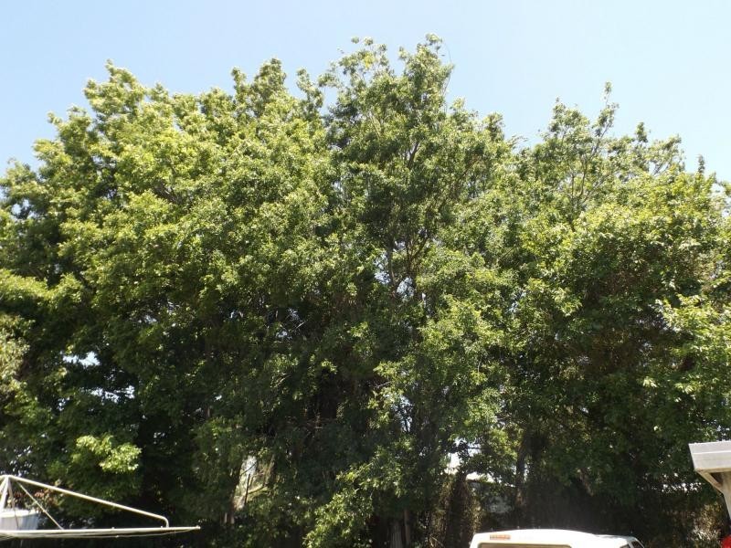 31 Acacia Avenue, Warwick QLD 4370