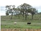 123 Schoch Road, Warwick QLD 4370
