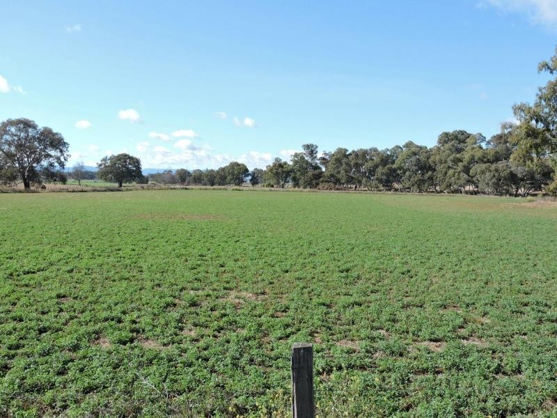 L34 McEvoy Street, Warwick QLD 4370