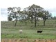 123 Lyndhurst Lane, Rosenthal Heights QLD 4370