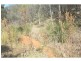 Lot 5 New England Hwy, The Glen QLD 4370