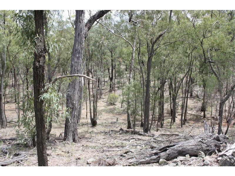 45 Cactus Ridge Road, Cunningham QLD 4370