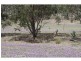 45 Cactus Ridge Road, Cunningham QLD 4370