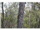 45 Cactus Ridge Road, Cunningham QLD 4370