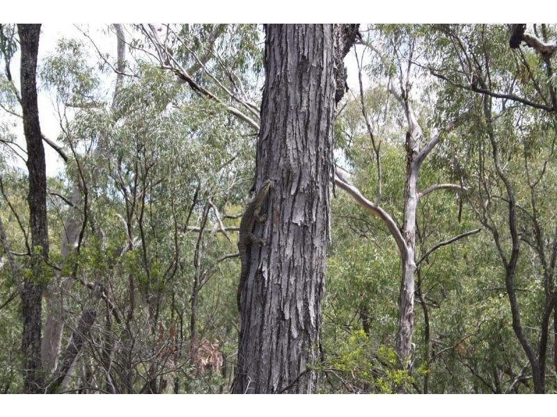 45 Cactus Ridge Road, Cunningham QLD 4370