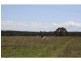 195 Ravenscroft, Elbow Valley QLD 4370
