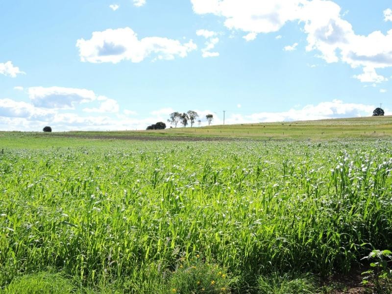 70 Bradford Lane, Yangan QLD 4371