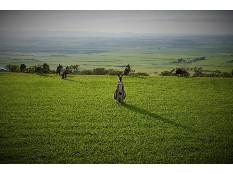 16 Kalinda Rise, Sladevale QLD 4370