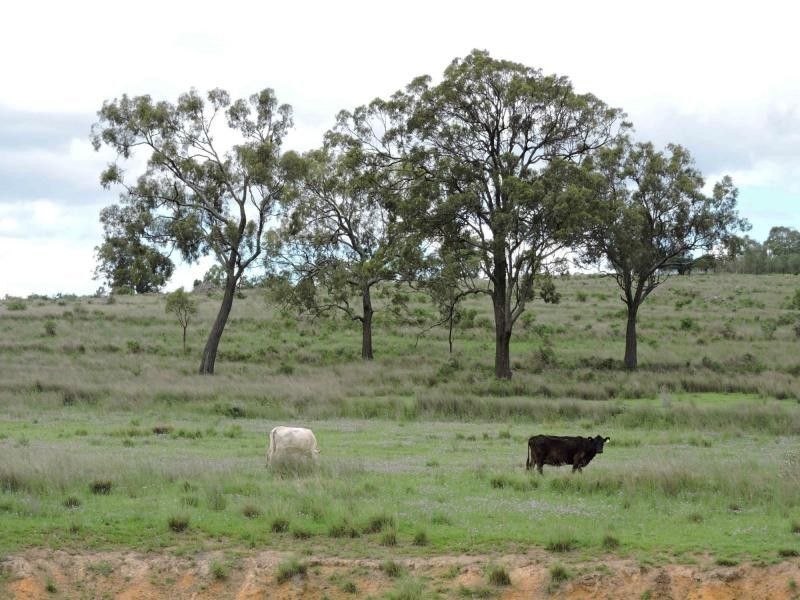 111 Schoch Road, Rosenthal Heights QLD 4370