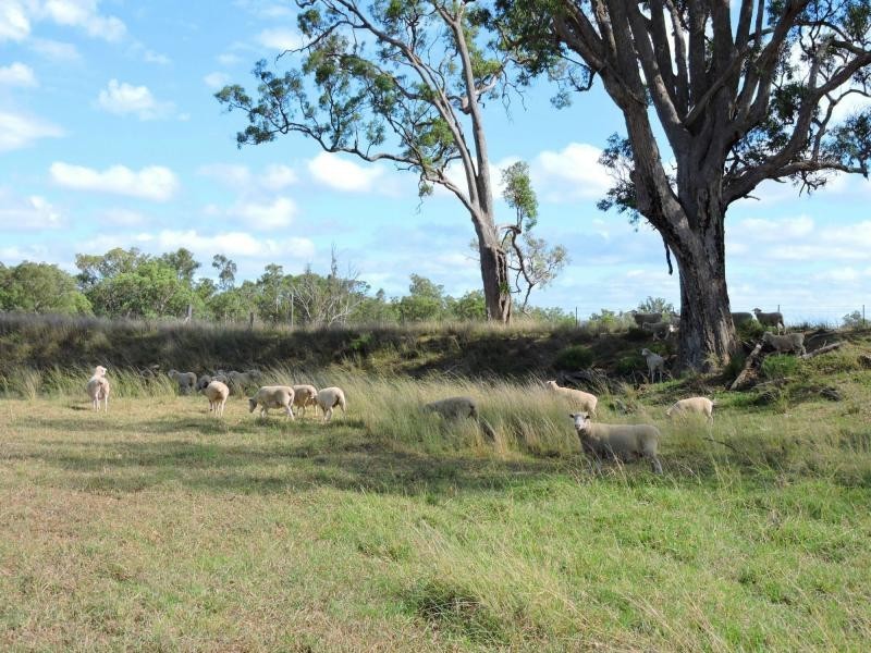 112 Back Creek Road, Karara QLD 4352