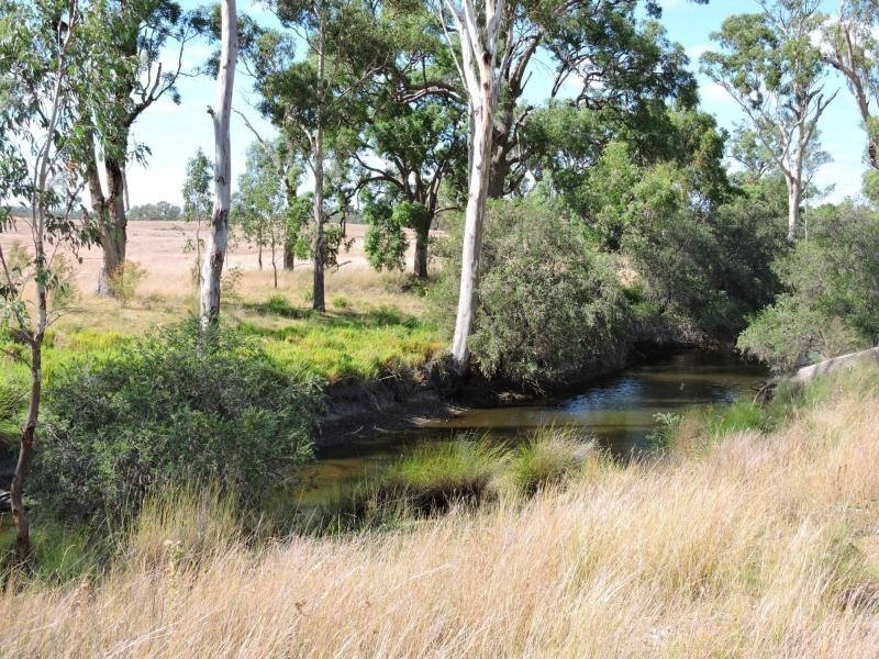 112 Back Creek Road, Karara QLD 4352