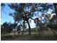 409 Warahgai Road, Karara QLD 4352