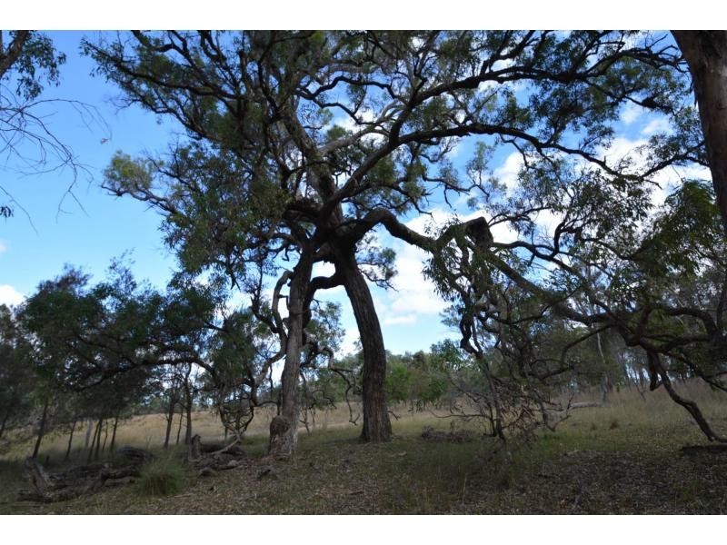 409 Warahgai Road, Karara QLD 4352