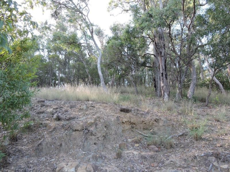 Warwick QLD 4370