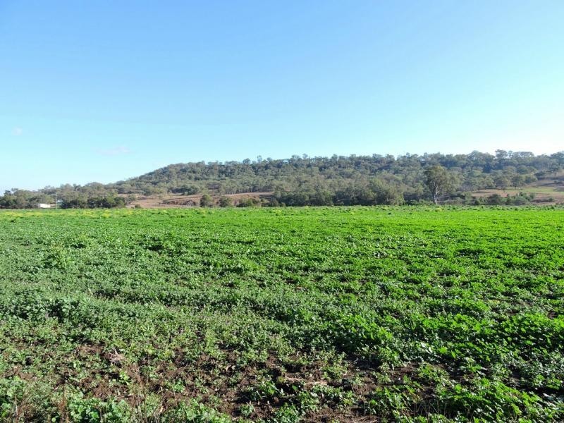 76 Bradfields Road, Allora QLD 4362