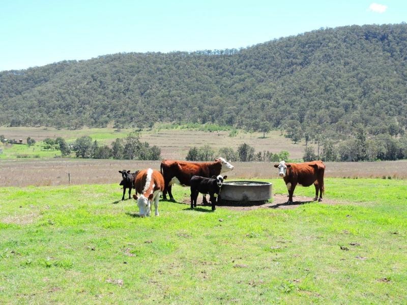 Lot 2 & 3 Inverramsay Road, Goomburra QLD 4362