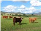 70 Bradford Lane, Yangan QLD 4371