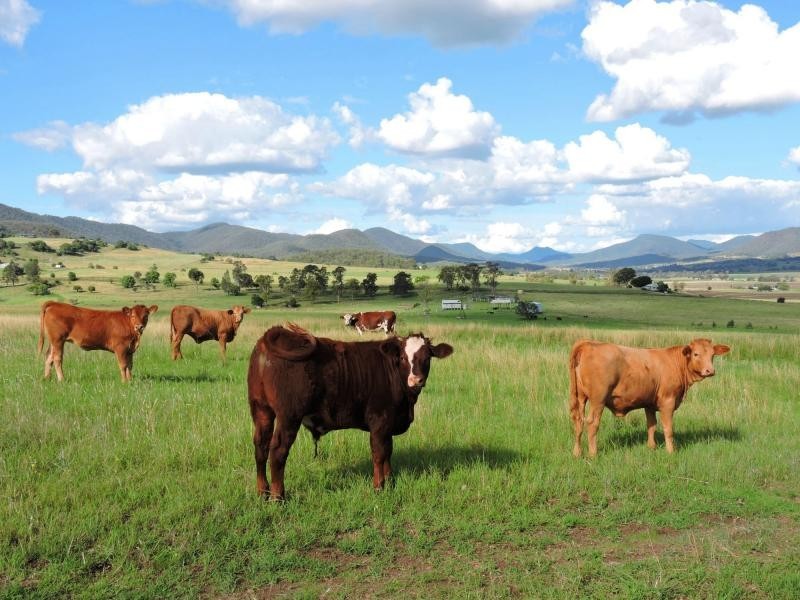 70 Bradford Lane, Yangan QLD 4371