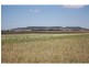 L217 Kings Creek Road Road, Kings Creek QLD 4361