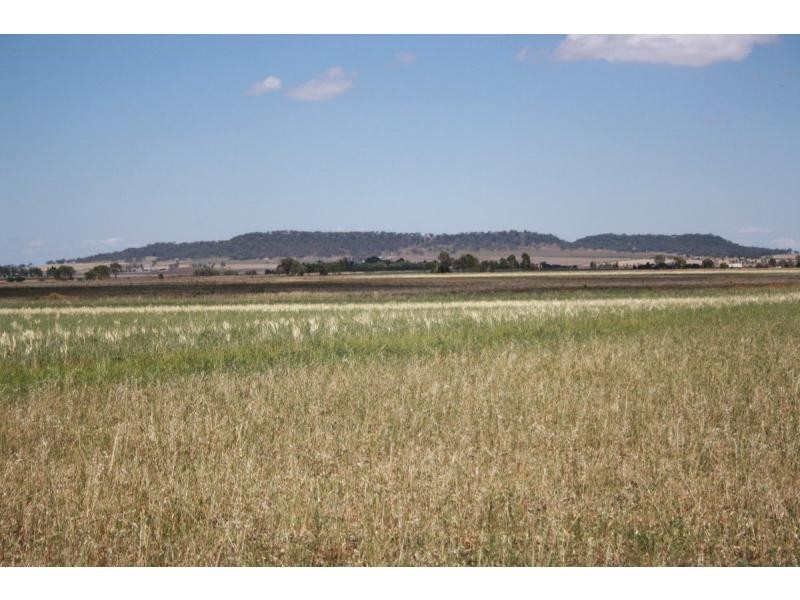 L217 Kings Creek Road Road, Kings Creek QLD 4361