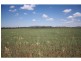 L217 Kings Creek Road Road, Kings Creek QLD 4361