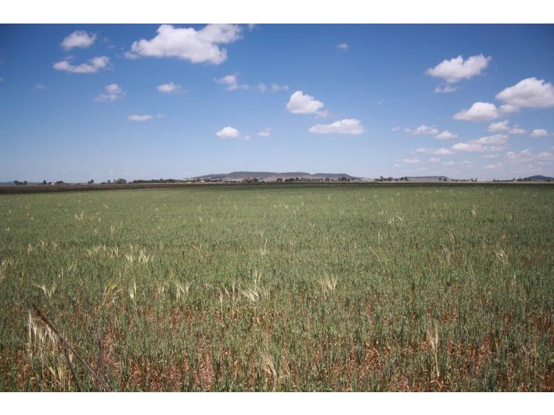 L217 Kings Creek Road Road, Kings Creek QLD 4361
