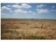 L217 Kings Creek Road Road, Kings Creek QLD 4361