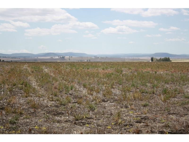 L216 Kings Creek Road, Kings Creek QLD 4361