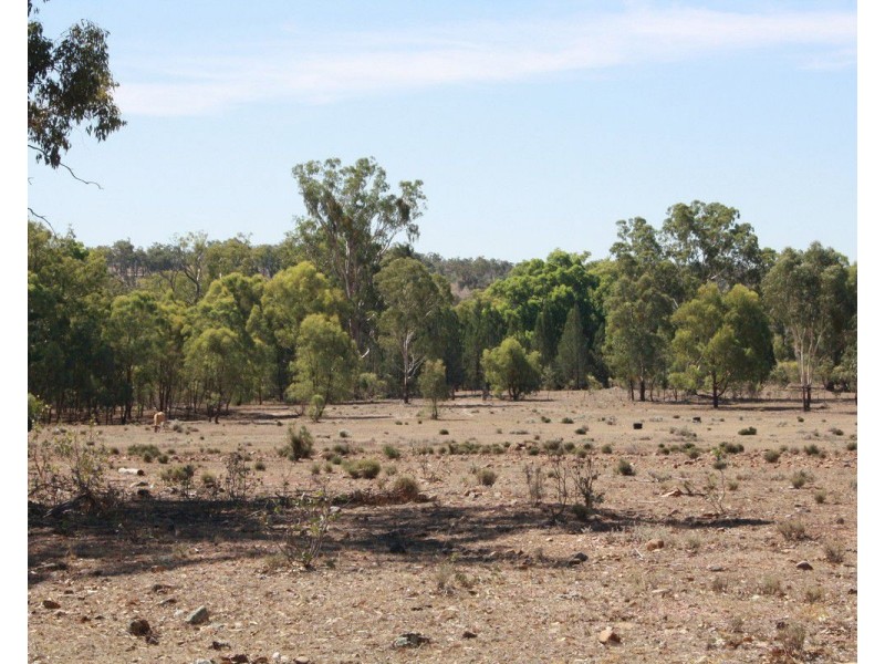 Lot 2 Luna Road, Oman Ama QLD 4352