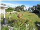 13961 Cunningham Highway, Warwick QLD 4370