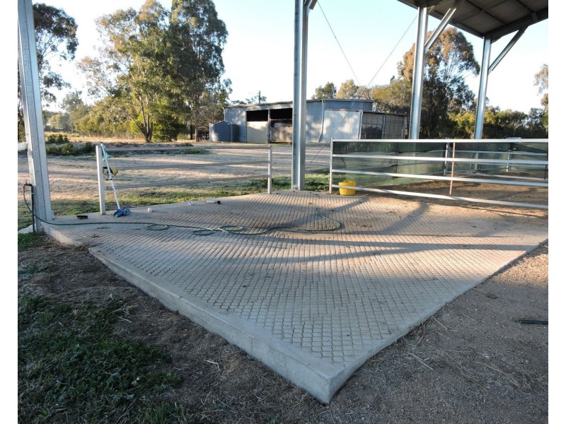 Lot 5 Canning Street, Warwick QLD 4370