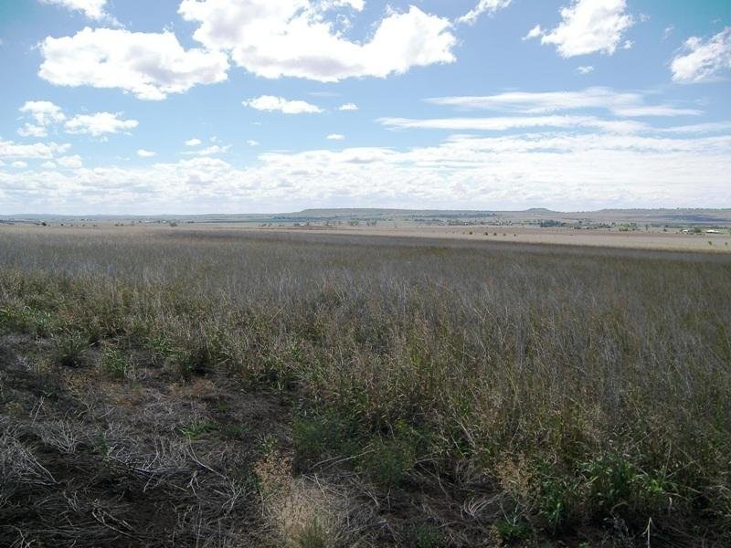 Warwick QLD 4370