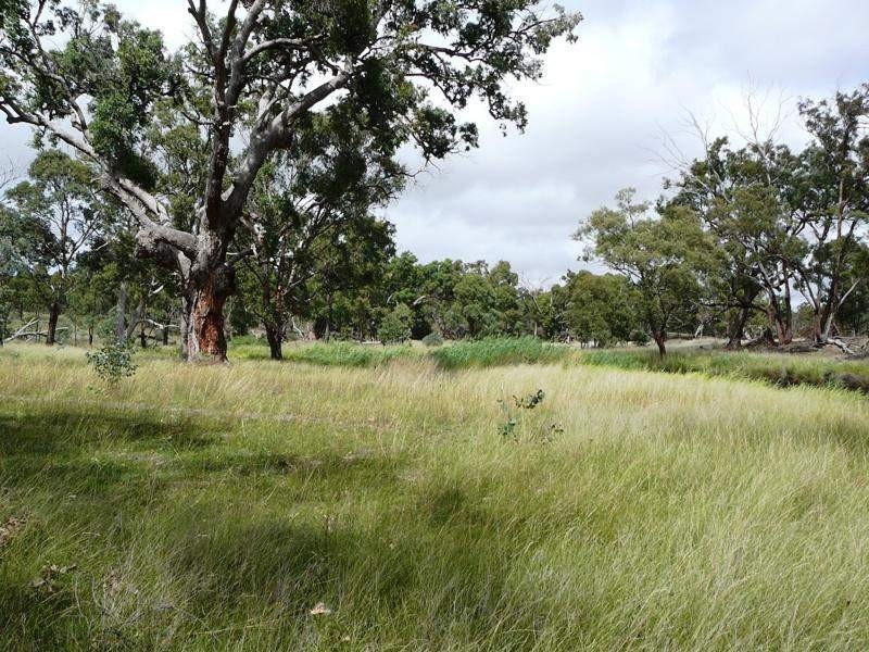 Warwick QLD 4370