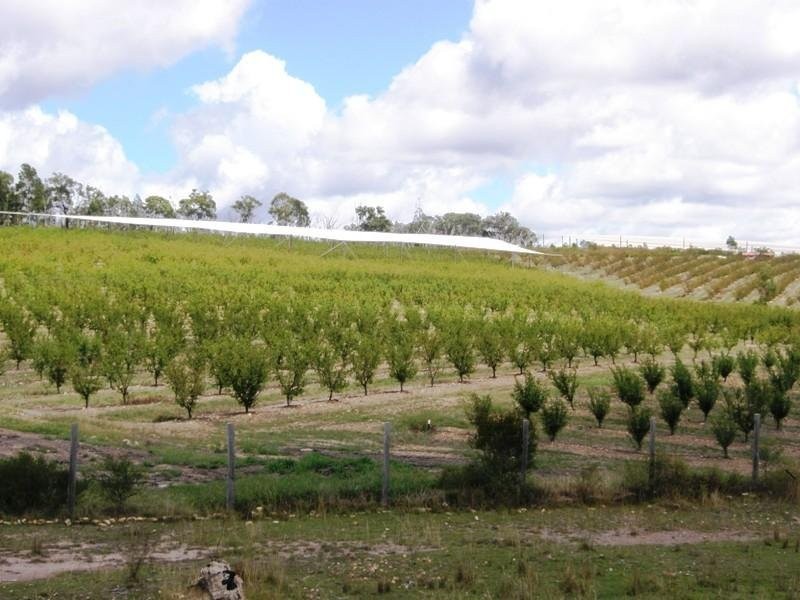 Warwick QLD 4370