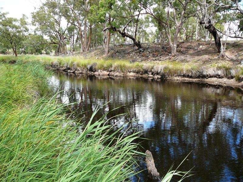 Warwick QLD 4370